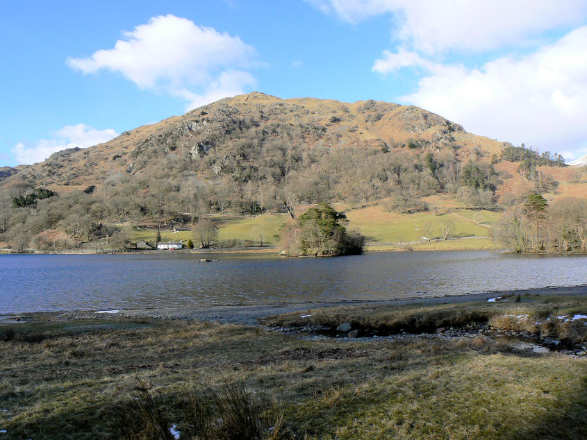 Nab Scar Nab Scar